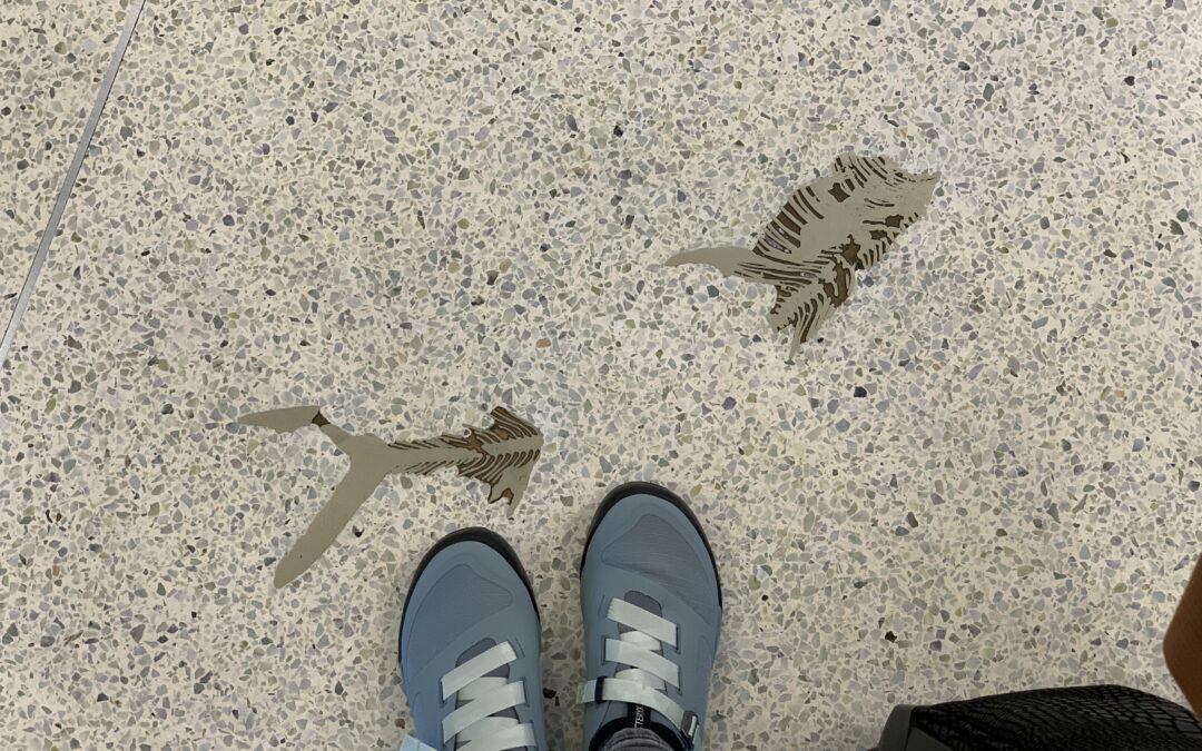 Fossils in Denver International Airport
