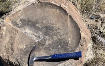 Kremmling Ammonite Site